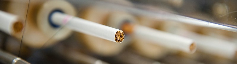 Cigaretta gyártás közben.